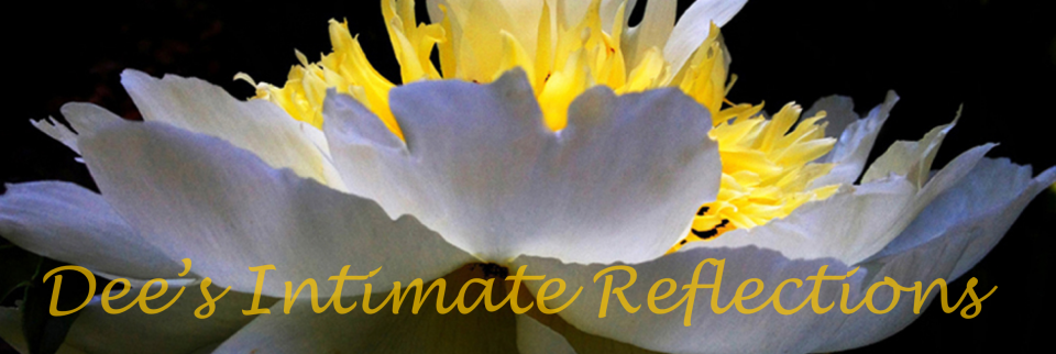 Dee's Intimate Reflections Banner