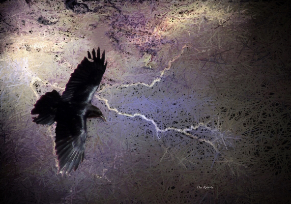 flying_through_the_storm_e.jpg