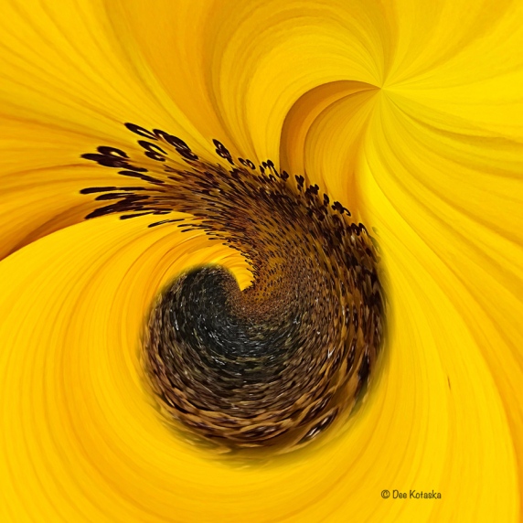 sunflower_butter_e.jpg